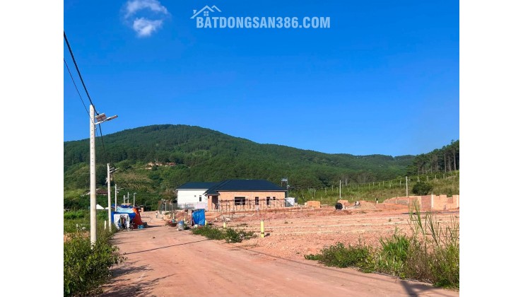 Cần Bán Đất 309m² Có 209m² Thổ Cư, 2 Mặt Tiền Giữa Thung Lũng Thông Xanh